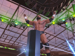 wwe 2k26 gameplay screen