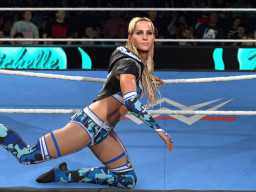 wwe 2k26 michelle mccool