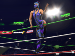 wwek26 ringside pass season 4 lady shani