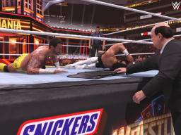 wwek26 showcase cm punk roman reigns paul heyman wm41