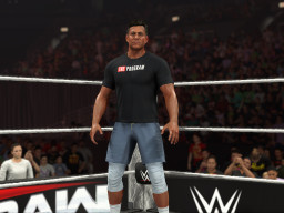 wwe 2k26 strauss zelnick