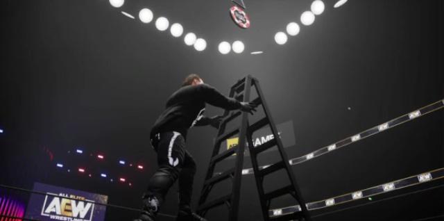 aew fight forever controls ladder match