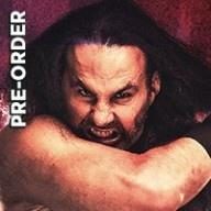 Matt Hardy (Broken)
