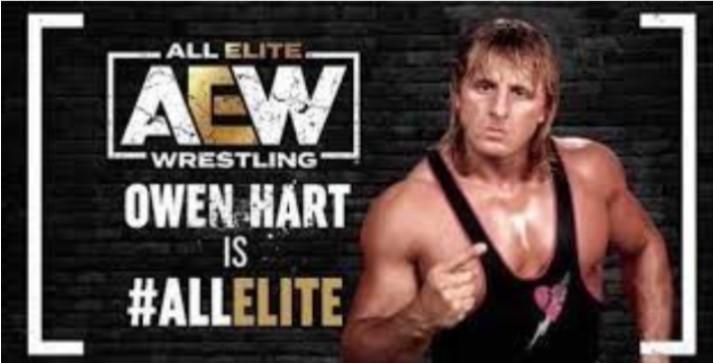 AEW Console Game: Owen Hart Announced For Game's Legends Roster 