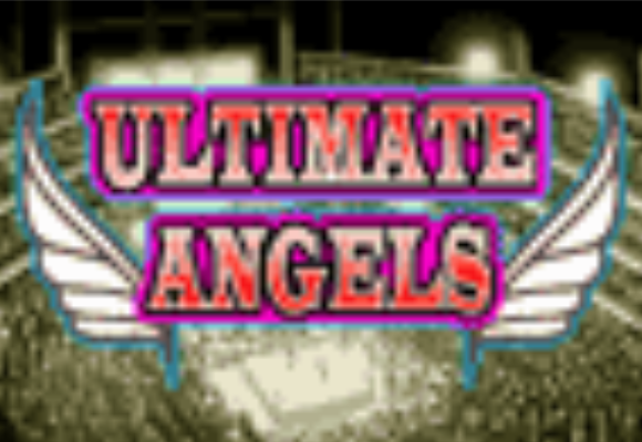 All Girl Wrestling: Ultimate Angels - WWE Games & Wrestling Games Database