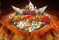 Fire pro wrestling world