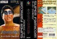 Super Fire Pro Wrestling