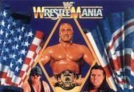 Wwf wrestlemania 1991