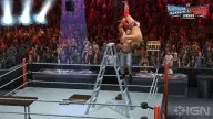 SvR2011 Cena Ladder AA