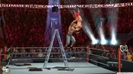 SvR2011 Cena Ladder AA 2