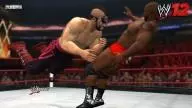 WWE12 Animal1