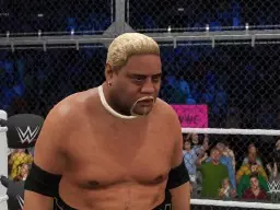 WWE2K17 Rikishi 2