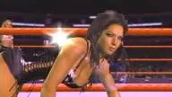 SVR2007 PS2 CandiceMichelle 3