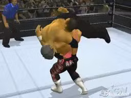 SVR2007 PS2 JimNeidhart 4