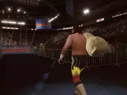 WWE2K17 JakeTheSnakeRoberts 3