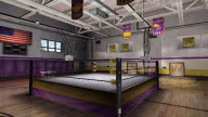 WrestleMania21 Arena 1
