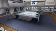 WrestleMania21 Arena 3