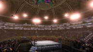 WrestleMania21 Arena 5