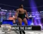 WrestleMania21 AndreTheGiant