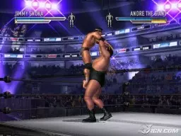 WrestleMania21 AndreTheGiant JimmySnuka 2
