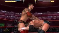 WrestleMania21 Batista TripleH 7