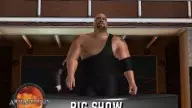 WrestleMania21 BigShow