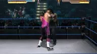 WrestleMania21 BretHart Undertaker 3