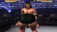 WrestleMania21 JimmySnuka