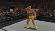 DayOfReckoning2 HulkHogan 2