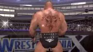 HereComesThePain BrockLesnar 2