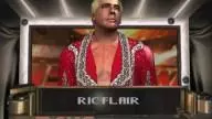 HereComesThePain RicFlair 2