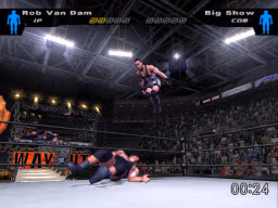 HereComesThePain RobVanDam BigShow