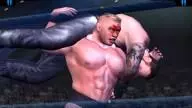 HereComesThePain Undertaker BrockLesnar 2