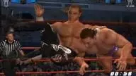 SvR2006 ShawnMichaels 3