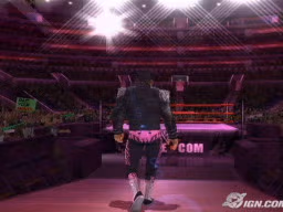 SvR2006 BretHart 1