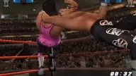 SvR2006 BretHart 2