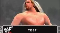 SmackDown Test 2