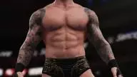 WWE 2K18 Randy Orton