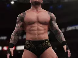 WWE 2K18 Randy Orton