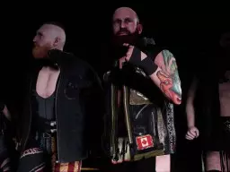 WWE2K18 Sanity 3