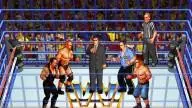 Wrestlefest Cage1