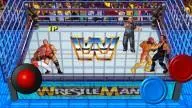 Wrestlefest Cage2