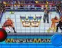 Wrestlefest Cage2