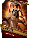 SuperCard Support Ladder S3 15 SummerSlam17