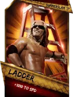 SuperCard Support Ladder S3 15 SummerSlam17