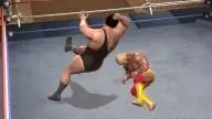 LOW 007 HulkHogan AndreTheGiant 7