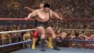 LOW 011 HulkHogan AndreTheGiant 11