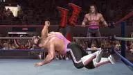 LOW Hawk BretHart JimNeidhart