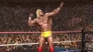 LOW HulkHogan 2