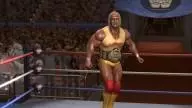 LOW HulkHogan 3